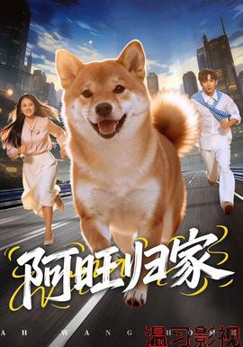 阿旺归家
